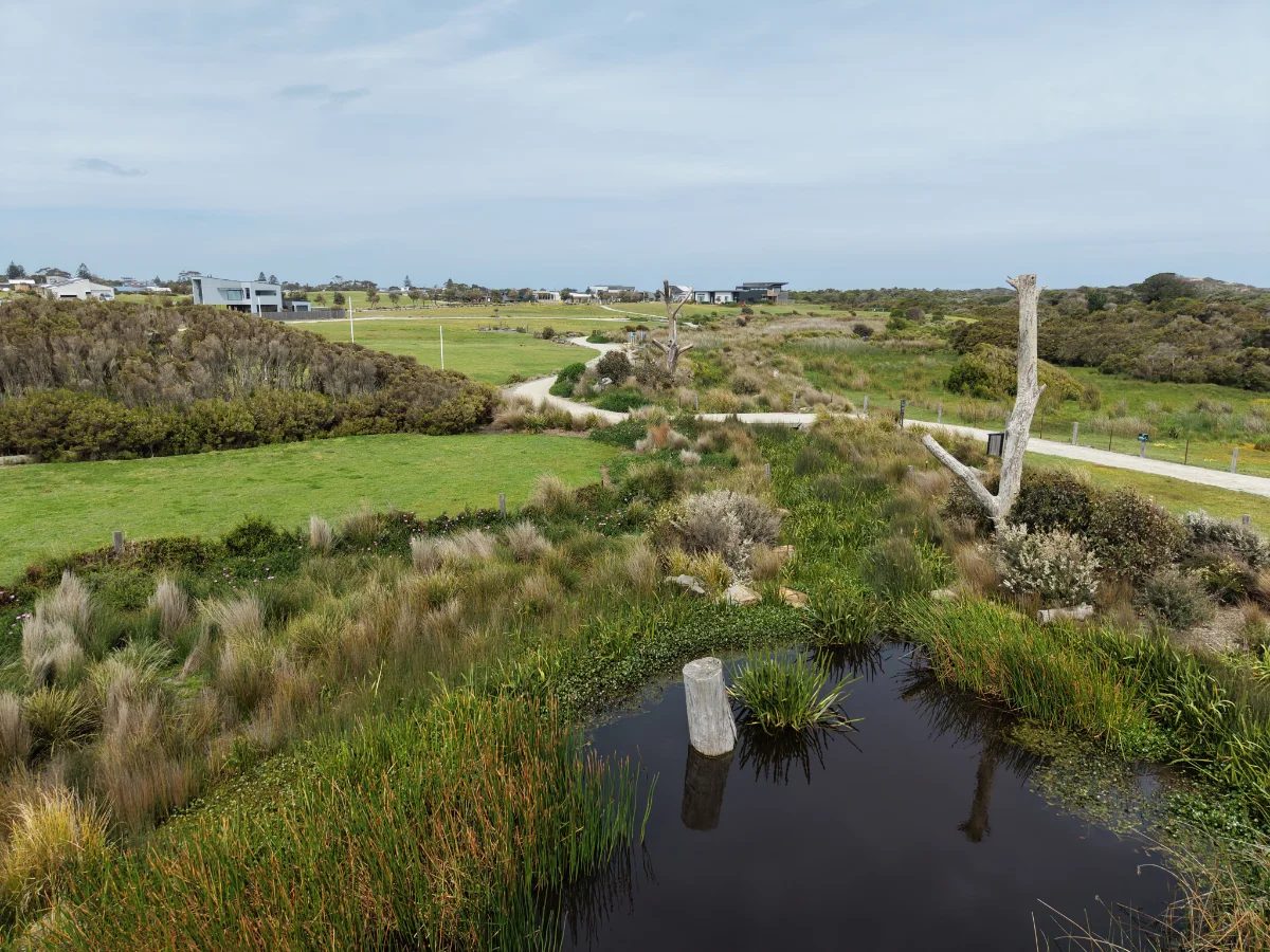 Aerial, The Cape, open space and coastline